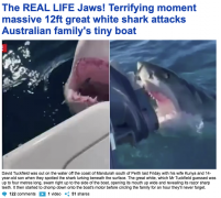 一家三口出海 遇4米凶恶大白鲨! 半边身子被一口吞!
