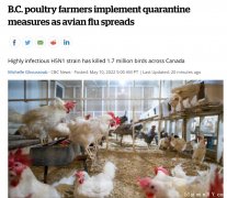 加国禽流感爆发!170万禽类被处理