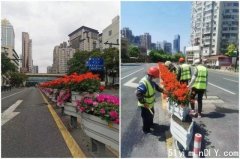 封控将结束，上海绿美化街道，让人耳目一新