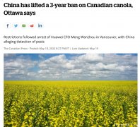 要变天?中国解除对加国油菜籽禁令