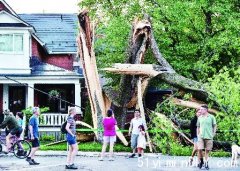 狂风雷雨2小时 3人遭断树压死(组图)