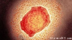 曝武汉实验室几个月前曾进行猴痘实验