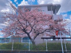日语同声传译，有偿