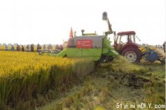 全球搜刮粮食 4月稻米进口暴增近3成