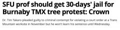 SFU教授住树上抗议 或要入狱30天