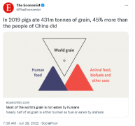“猪在2019年吃掉4.31亿吨粮食，比中国人吃的多45%”
