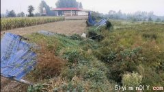 5名村民阻止洗煤厂在耕地建防尘网被判寻衅滋事