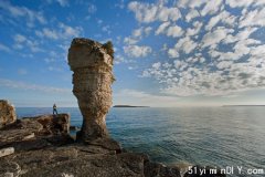 现在可以坐巴士去花瓶岛旅游了，票价不到100元