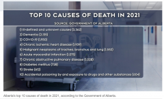 加國多省不明原因超額死亡!BC首位