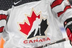 【更新】警方对两支加拿大青年冰球队展性侵调查(图)