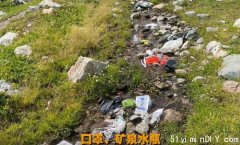 冲上热搜！新疆独库公路变垃圾场 游客：捡不完