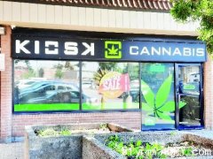 华人社区内大麻店趋增 商户联名反对 业主懒理(组图)