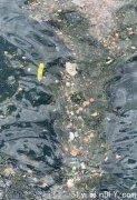 【太缺德】安大略湖湖水中竟浮出这些污染物(图)