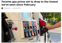 加油等周三！安省油价会降到二月份以来最低水平