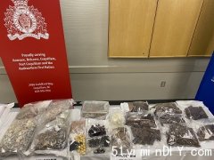 高贵林骑警成功阻止接近90公斤毒品流入社区(图)