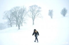 多伦多明天傍晚至周六上午再降雪15-20厘米风速70公里(图)
