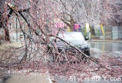 冰雨雷暴袭安省魁省 逾百万用户停电(图)