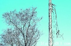 屋中烧炭取暖释出一氧化碳 一家11口中毒险丧命(图)