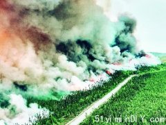 安省南部山火烟雾飘散 多伦多空气质素已好转(图)