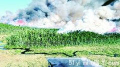 5000消防员全国灭火 北安省山火数增至62处(图)