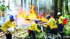 美国动用高科技系统助加国 卫星雷达即时数据找新山火(图)