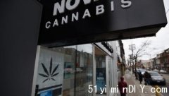 【省府计划修例】限制大麻店不得让店外人士看到产品(图)