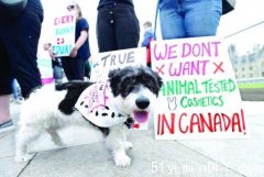 渥京追随全球数十国 禁用动物测试化妆品(图)