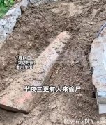 90岁老人尸体半夜被刨坟火化 律师:或构成“侮辱尸体罪”