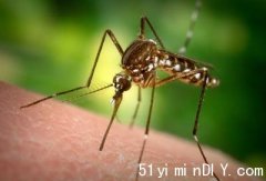 【多市发现带有西尼罗病毒毒蚊】位于士嘉堡西北角(图)