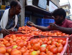 比汽油还贵!印度爆发“西红柿危机”:7天两农民遭谋杀
