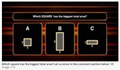 “哪个正方形面积最大？”这题问倒一票人 仅25%答对