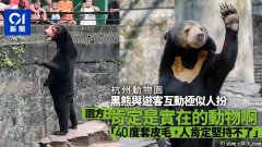 动物园黑熊太&#8221;人里人气&#8221;引热议 园方：肯定是真熊！