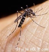 【约克区发现带有西尼罗病毒毒蚊】吁市民做好预防措施(图)