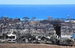 夏威夷火灾:超百人死亡，游客跳太平洋逃生
