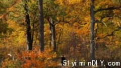 【今秋不一样】先冷后暖(图)