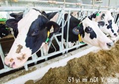 农场牛奶计划加价1.77% 乳品委会推迟3个月落实(图)