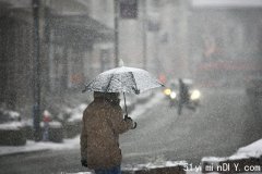 安省陷入大雪深秋，多伦多天气急转直下，气温暴跌至零下